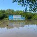 Tak Hanya Sawah Berkurang, juga Hutan Mangrove. Sayangnya Tanam Lagi Sering Gagal
