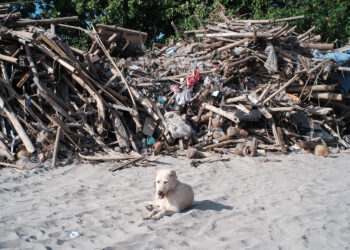 Abrasi yang tak Pernah Henti di Pantai Kuta