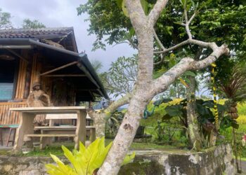 Aksi Protes Pemilik Sawah di Jatiluwih Pasang Seng dan Plastik