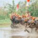 Beban Tak Terlihat Remaja Bali di Jembrana