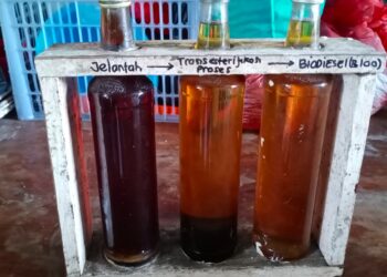 Daur Minyak Goreng Bekasmu jadi Biodiesel untuk Mencegah Pencemaran juga Jadi Cuan