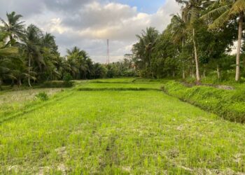 Pemilik Lahan Desa Bakbakan Terhimpit Pembangunan GOR