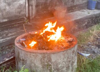 Bakar Sampah Organik: Solusi Praktis atau Ancaman Kesehatan?