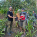 Pohon Moke Penjaga Alam dan Kehidupan Warga
