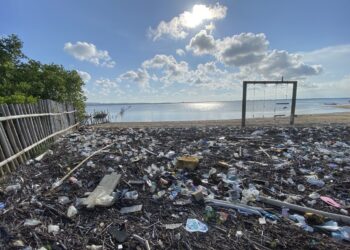 Kredit Plastik: Solusi Palsu Tak Berkelanjutan