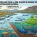 Memahami Fenomena “Semburan Belerang” di Danau Batur dan akar masalahnya