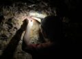 Membaca Series Nature Crime Mongabay: Seberapa Jahat Manusia kepada Alam?