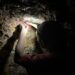 Membaca Series Nature Crime Mongabay: Seberapa Jahat Manusia kepada Alam?