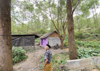 Pengorbanan Atas Nama Pariwisata di Kintamani