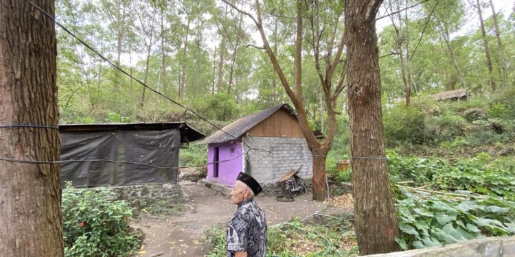 Pengorbanan Atas Nama Pariwisata di Kintamani
