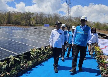Transisi Energi Mesti Diikuti Pemanfaatan PLTS Atap dan Menghentikan Pembangkit Gas