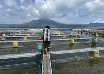 Understanding the “Sulfur Burst” Phenomenon in Lake Batur and its Root Causes