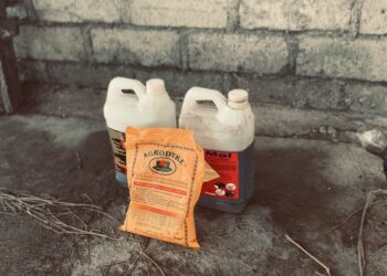 Pupuk Organik Cair Desa Kastala untuk Pertanian Berkelanjutan