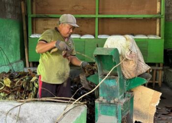 Pengelolaan Sampah Organik Berbasis Sumber di SMA Negeri 1 Bebandem