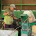 Pengelolaan Sampah Organik Berbasis Sumber di SMA Negeri 1 Bebandem