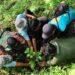 Penurunan Debit Air Sumber Mata Air di Desa Pedawa akibat Berkurangnya Pohon Penyimpan Air