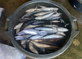 Nelayan Kusamba Bisa Jadi Tinggal Kenangan