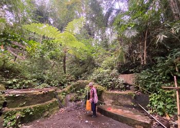 Menjaga Hulu, Menata Wisata di Desa Pedawa