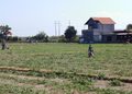 Sampah Plastik Ancam Sawah dan Jogging Track