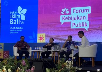Tantangan Ketersediaan Lahan Menuju Target Proyek PLTS di Bali