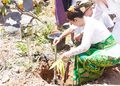 Program Bambuloka Diluncurkan di Pura Lempuyang Madya