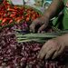 Sumur, Kasur, Dapur, dan Krisis? 